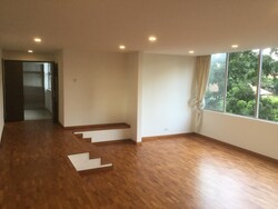 Nassim Regency (D10), Condominium #320273311
